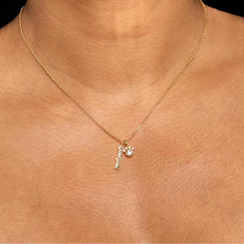 Jaclyn Roxanne/Jaclyn Hill Dog mama necklace